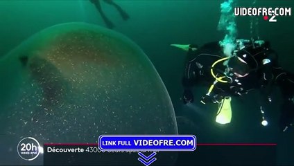 Norvège : un œuf de calamar géant découvert dans les eaux d'un fjord - VIDEOFRE.com