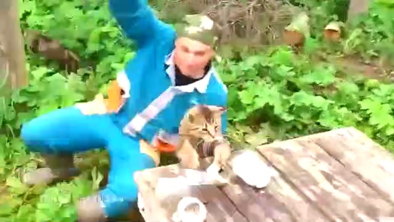 Chat rusé dans une embuscade