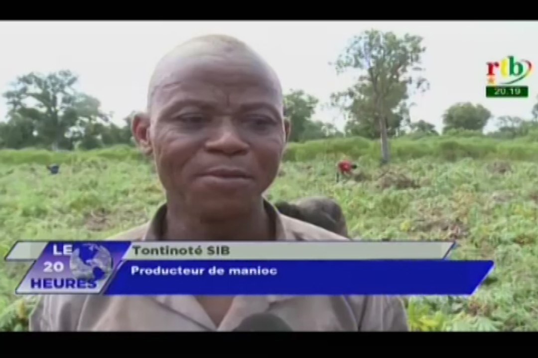 RTB/Agriculture - Portrait de Tontinoté SIB,  Producteur de manioc à Kampti