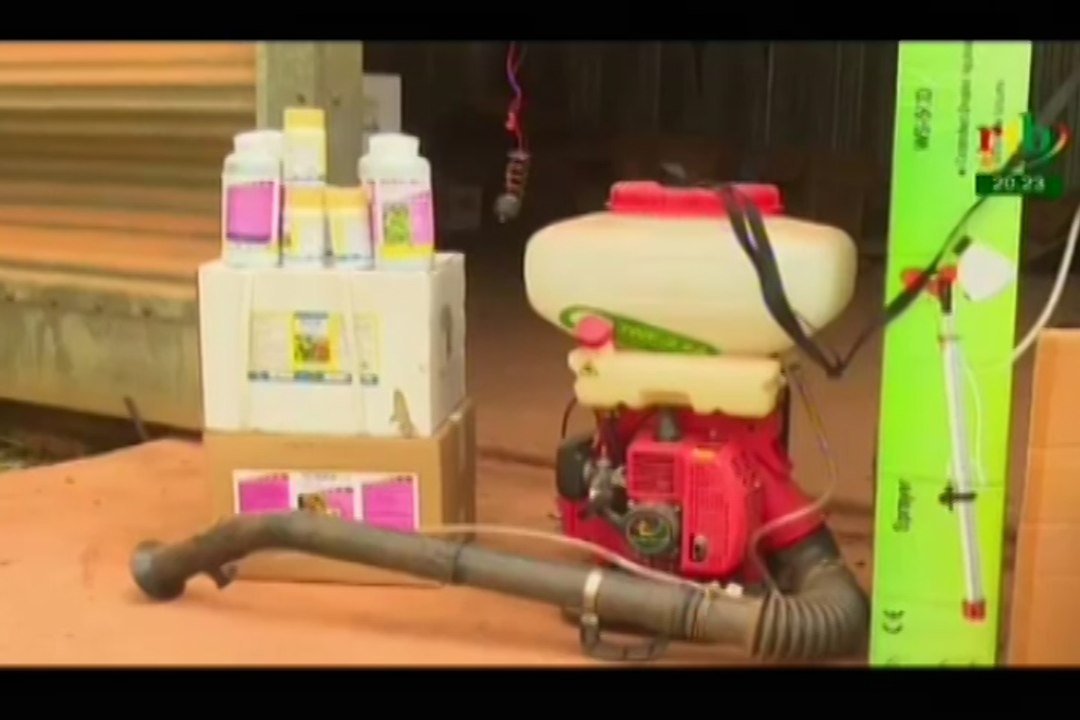 RTB/Atelier d’information et de sensibilisation sur l’utilisation, la réglementation et la commercialisation des produits phytosanitaires