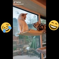 LOS VÍDEOS MÁS VISTOS EN ESTE AÑO+VIRALES +