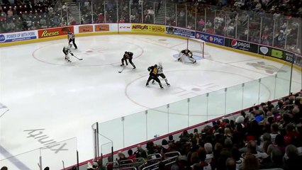 Hershey Bears Vs Providence
