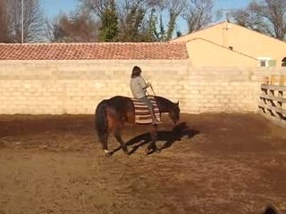 carus corde