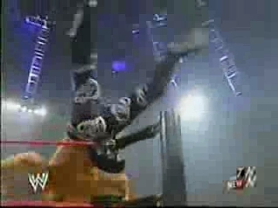 Shawn Michaels & Ric Flair vs Triple H