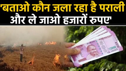 Parali fire पर  khattar government सख्त, अब इस आइडिया पर होगा काम | वनइंडिया हिंदी