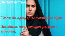 Soon | Emily Jane Bronte | Molla Ahmet Tesla (Translation Poem Dailymotion English-Turkish)