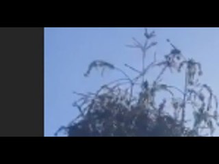 Laura Smet, froideur, tension, sa vraie relation avec son mari Raphaël, (photo)