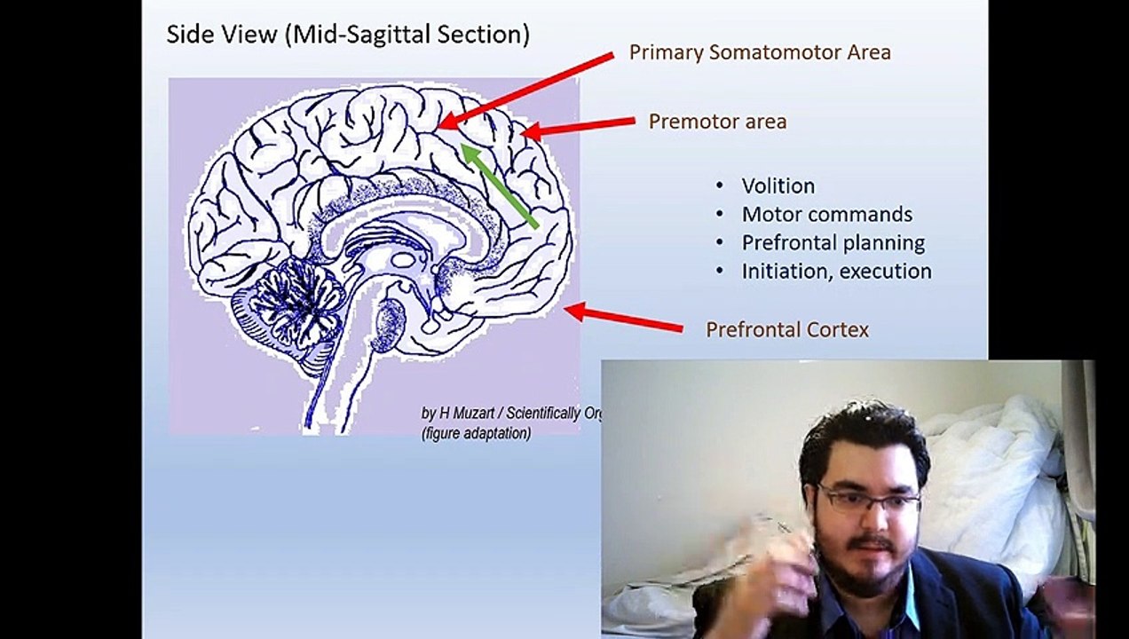 Neural Science and Motor Functions (S3-C4)