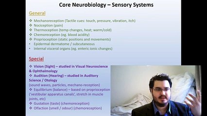 Sensory Systems and Visual Neural Networks (S3-C3)