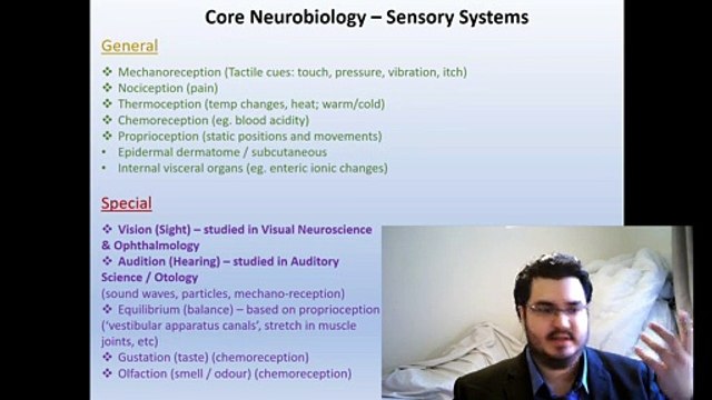Sensory Systems and Visual Neural Networks (S3-C3)