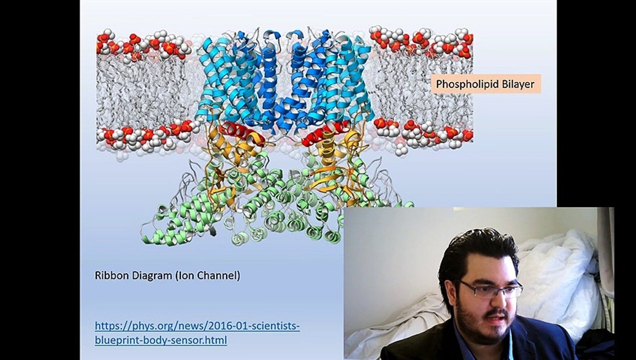 Molecular Biochemistry for University Neuroscience (Intro) (S2-C2)