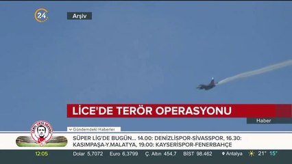 Lice'de terör operasyonu