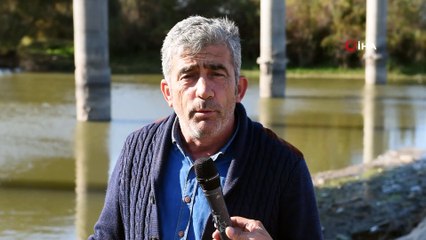 Bursa'da balık ölümleri devam ediyor