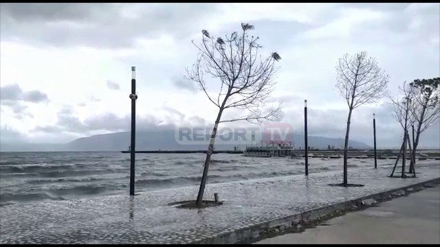 Report TV -Anulohet udhëtimi i tragetit të linjes Vlorë Brindisi, shkak moti dhe dallgët e forta