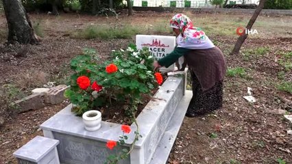 Antalya'da mezarlıkta kabir kazıp etrafına esrar ektiler iddiası