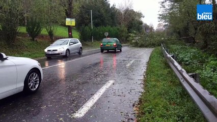 Tempête Amélie : la circulation perturbée en Béarn