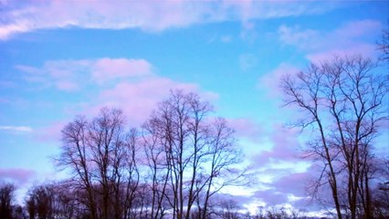 John Padovano - Allentown Fall Festival - October 13  2019 BLUES STATION