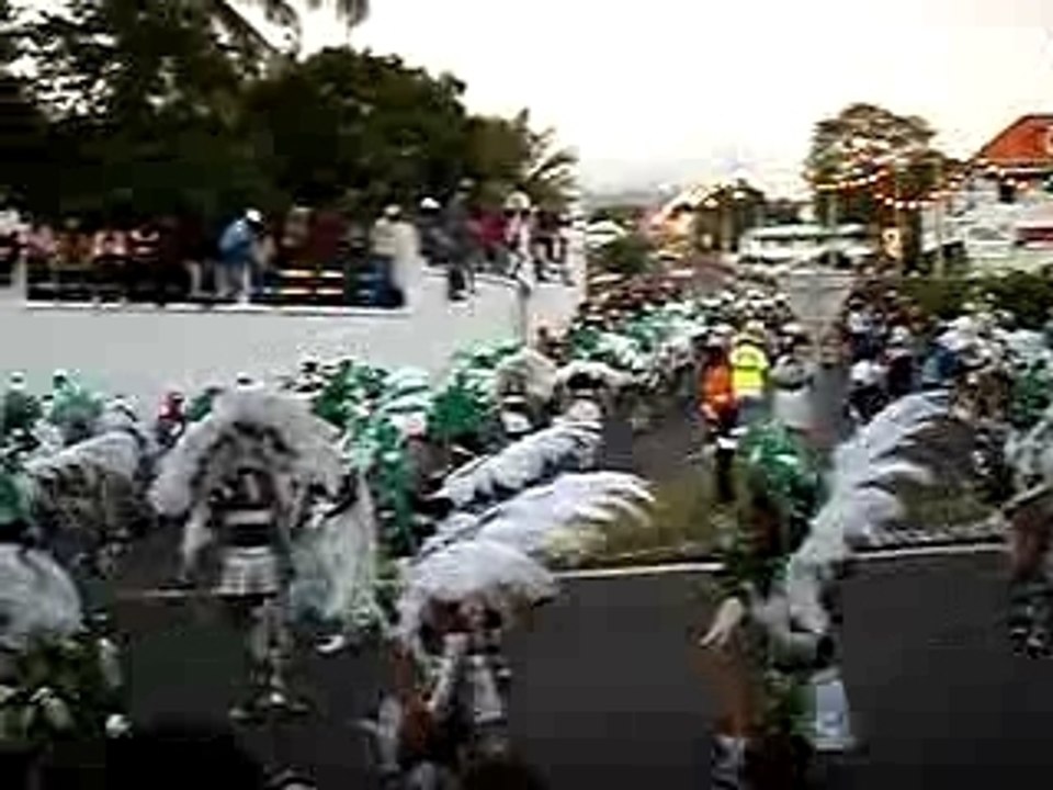 carnaval de Basse Terre février 2008