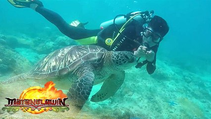 Apo Island Diving | Matanglawin