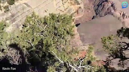 Une jeune femme manque de tomber dans le Grand Canyon en voulant prendre une photo