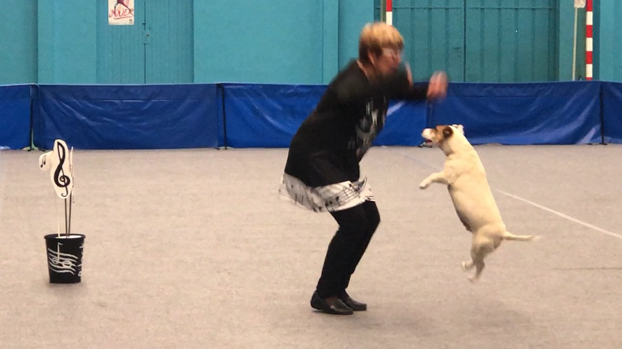 Concours de dog dancing