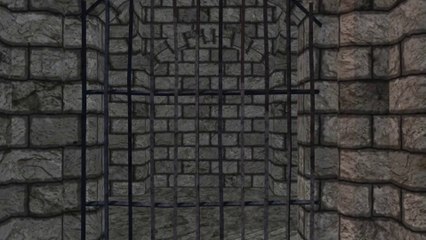 Cri$py C - Live Impressions