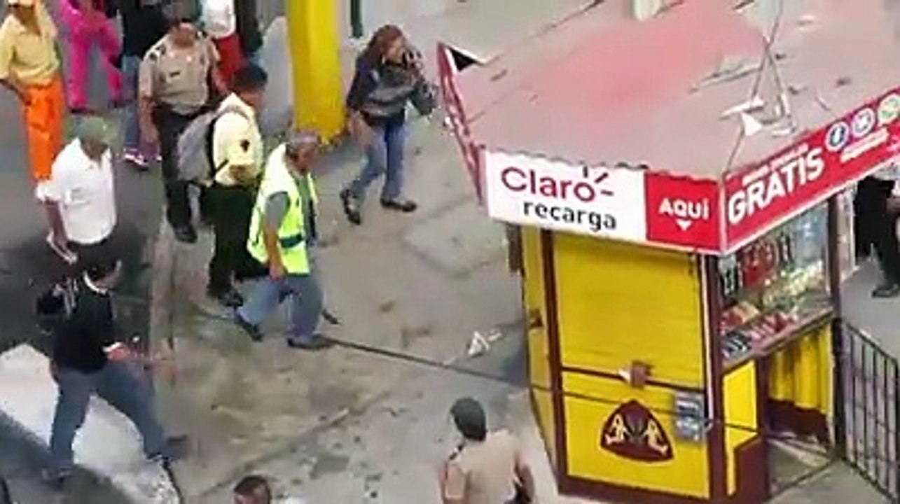 DOG FIGHT