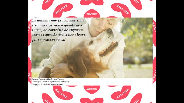 Os animais não falam, suas atitudes mostram o quanto nos amam! [Frases e Poemas]