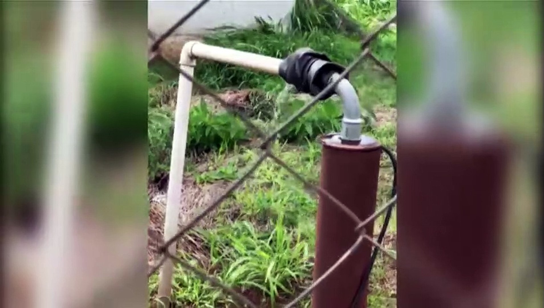 Internauta filma vazamento de água no autódromo