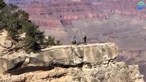 Elle trébuche est manque de tomber du grand canyon