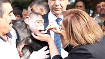 Gaziantep Büyükşehir Belediye Başkanı Şahin, 4 yaşına giren şempanze Can'a elleriyle pasta yedirdi