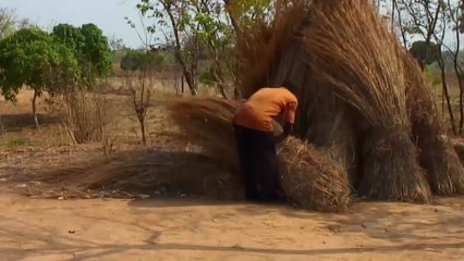 체체파리로 고통받는 말라위 야생보호구역 인근 주민들 / YTN