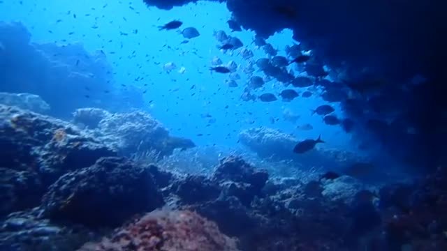 Políticos sin miedo al ridículo en campaña