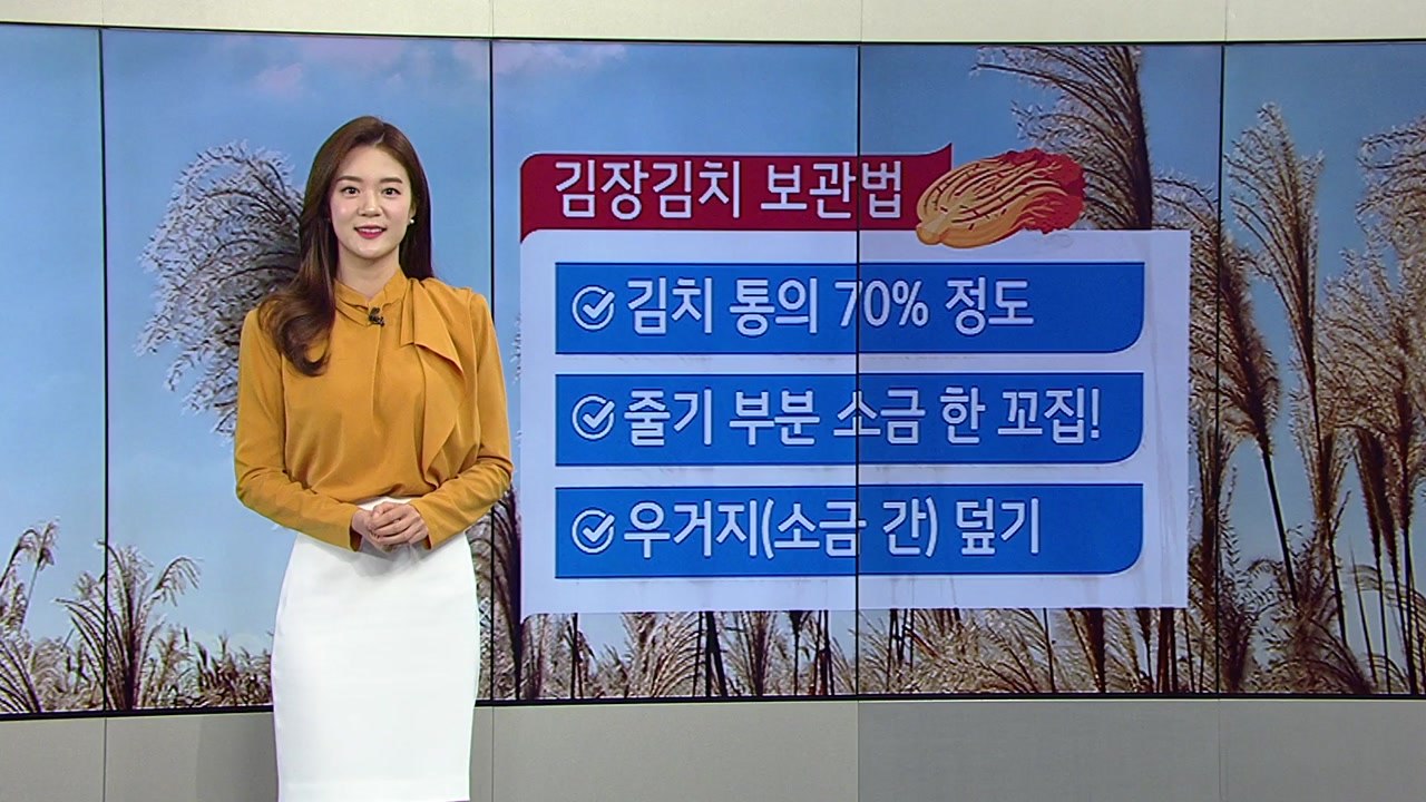 [날씨] 오늘 내륙 맑고 일교차 커...공기 깨끗 / YTN