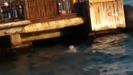 Beşiktaş'ta durağa daldıktan sonra denize atlayan şoför böyle kurtarıldı