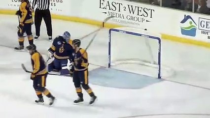 Atlanta Gladiators vs Greenville Swamp Rabbits 11/03