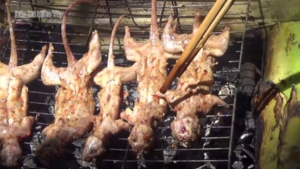Chuột dừa nướng than hồng - Cùng anh em miền tây đi săn chuột dừa - DDMT_22