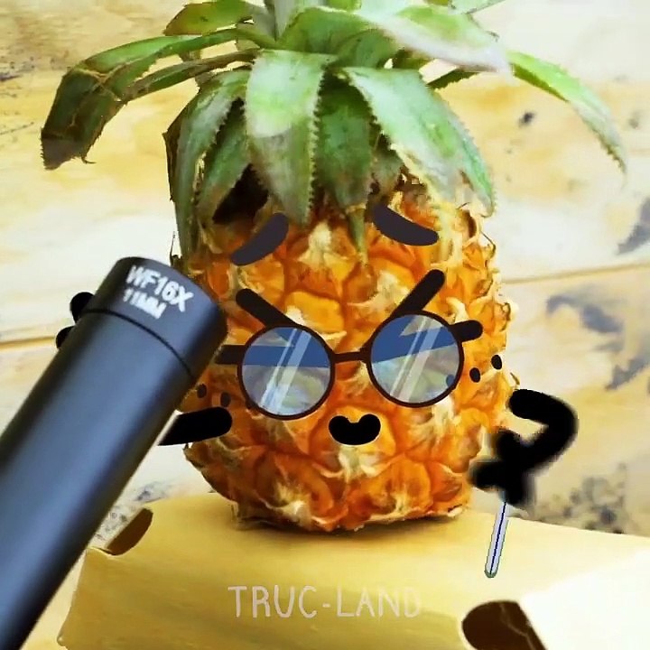 Tout est plus cool avec les trucs – TRUC-LAND