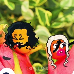 Tout est plus cool avec les trucs – TRUC-LAND