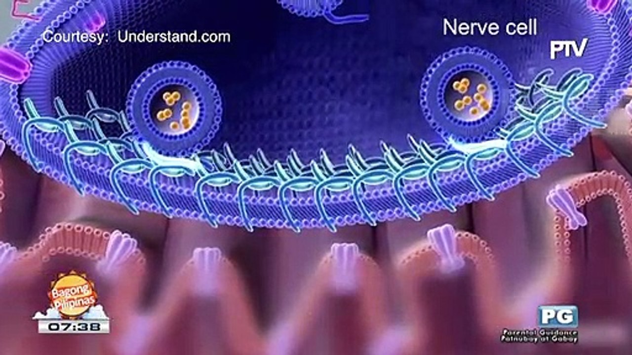 DERMAESTHETIQUE: Botox for forehead wrinkles