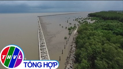 Cà Mau khẩn cấp "cứu" tuyến đê biển Tây