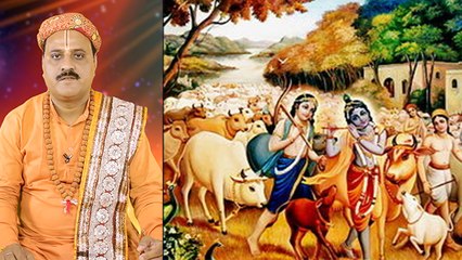 गोपाष्टमी पूजा विधि | गौ माता पूजन से पूरी होगी सभी मनोकामना | Gopastami 2019 Puja Vidhi | Boldsky