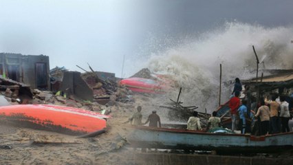 Bull Bull is coming take care yourself.