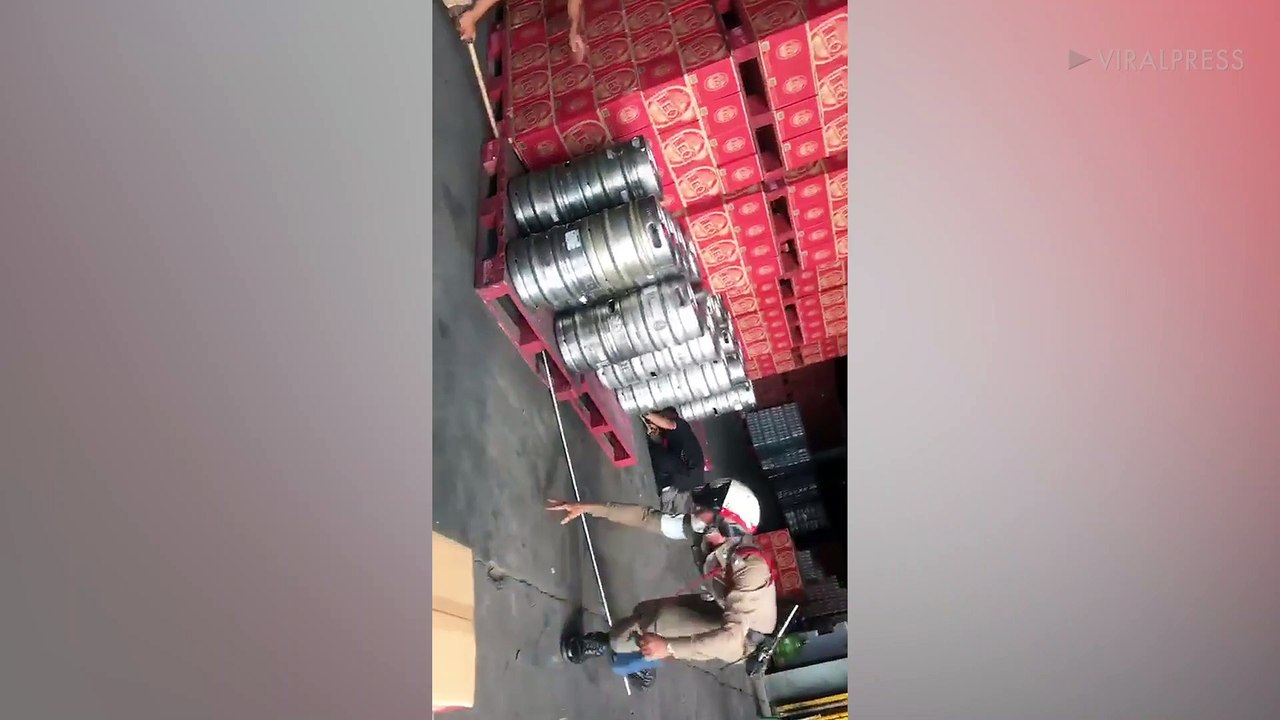 Rat Snake Caught Hiding In Beer Barrels