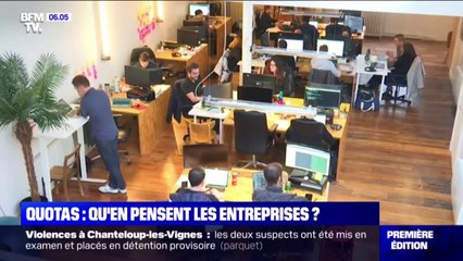 Download Video: Quotas pour l'immigration économique: qu'en pensent les entreprises ?