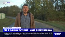 Une douzaine d'éleveurs français vont engager des procédures judiciaires contre les lignes à haute tension