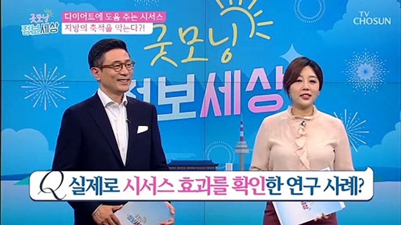 8주간 시서스 섭취, 믿기지 않는 변화 ⊙o⊙