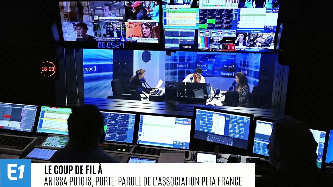 Grande-Bretagne : la reine Elisabeth II abandonne la fourrure animale, "une victoire" pour la porte-parole de Peta France