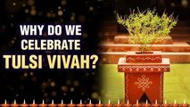 Why do We Celebrate Tulsi Vivah ? | तुलसी विवाह कथा | Story of Tulsi Vivah | Tulsi Vivah Katha