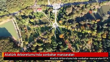Atatürk Arboretumu'nda sonbahar manzaraları